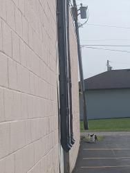 Found/Stray Unknown Cat last seen Behind Caledonia Marketplace heading towards Route 5, Caledonia, NY 14423