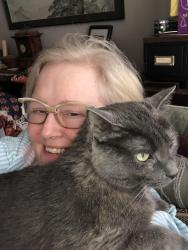 Lost Female Cat last seen Inverness, Valley Park, MO 63088