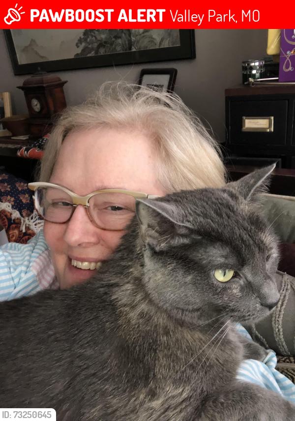 Lost Female Cat last seen Inverness, Valley Park, MO 63088