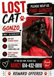 Lost Male Cat last seen Brookville apmts, Schrock and Ambleside, Columbus, OH 43229