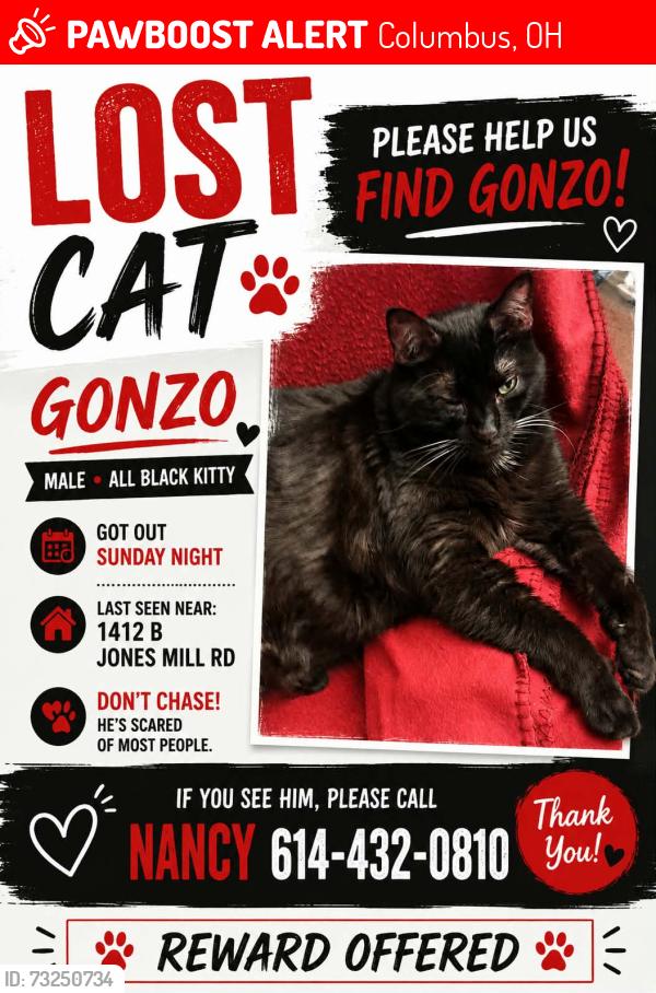 Lost Male Cat last seen Brookville apmts, Schrock and Ambleside, Columbus, OH 43229