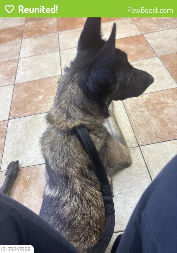 Reunited Male Dog last seen Near N Westgreen Blvd, Katy, TX 77449, USA, Katy, TX 77449