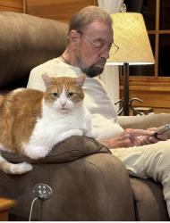 Lost Male Cat last seen Pickens Gap, Knoxville, TN 37920