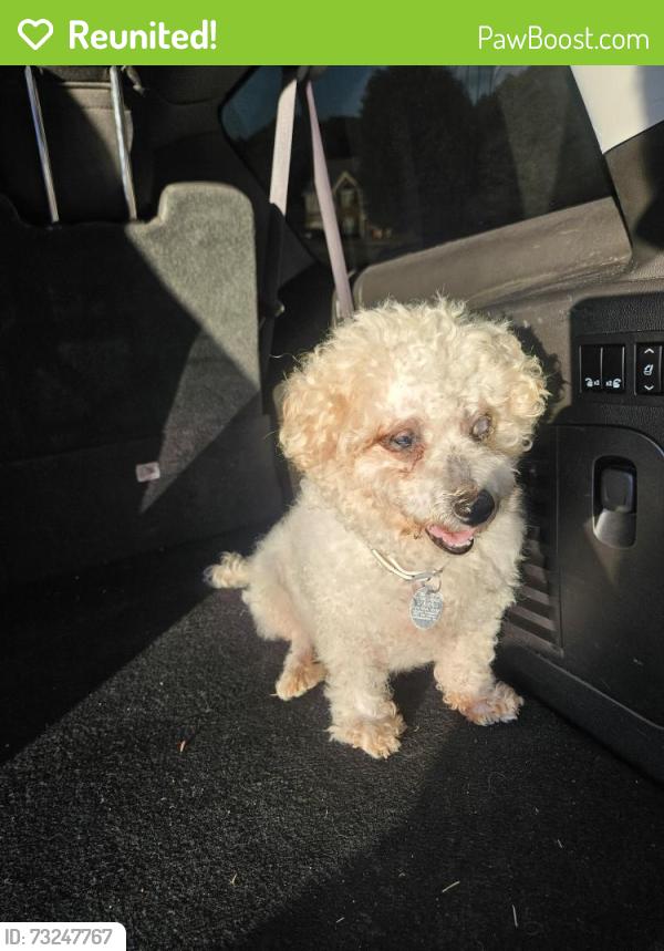Reunited Female Dog last seen Westridge, Henry County, GA 30253