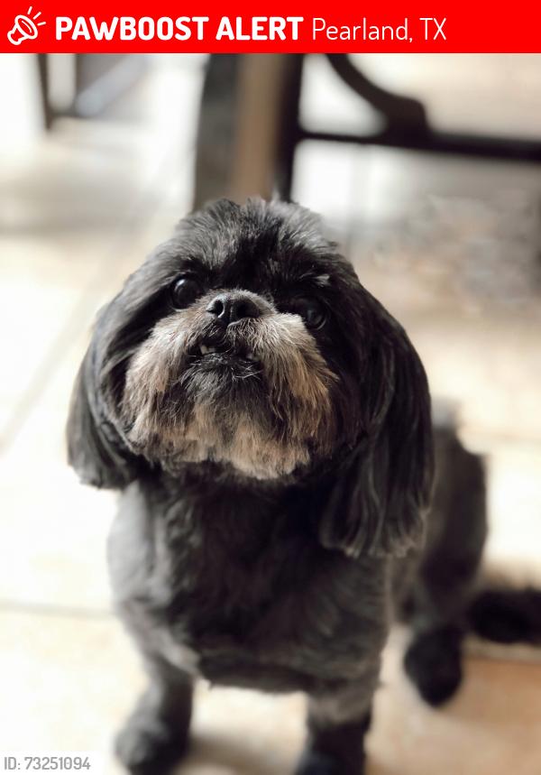 Lost Female Dog last seen E Orange & Olvin rd, Pearland, TX 77581