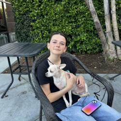 Lost Male Dog last seen Santa Monica and La Brea, West Hollywood, Los Angeles, CA 90046