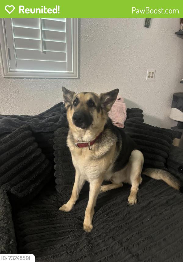 Reunited Male Dog last seen Hwy 10, Hurst, TX 76053