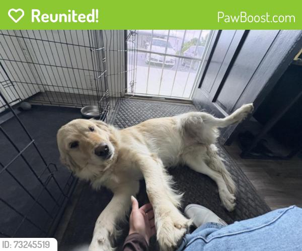 Reunited Female Dog last seen El Nido and Orange, Perris, CA 92571