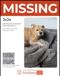 Lost Female Dog last seen Donald Lee Hollowell Pkey, Atlanta, GA 30318