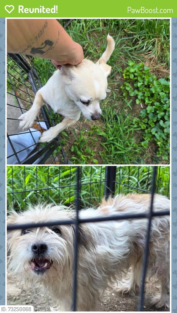 Reunited Male Dog last seen Dolly pond/gamble, Birchwood, TN 37308