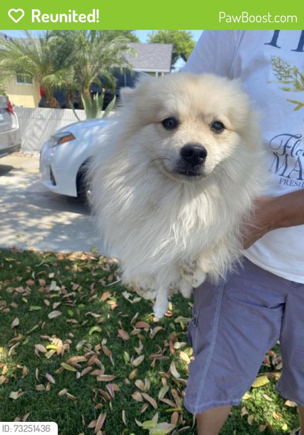 Reunited Unknown Dog last seen Near Trumball St, Whittier, CA 90605, USA, Whittier, CA 90605
