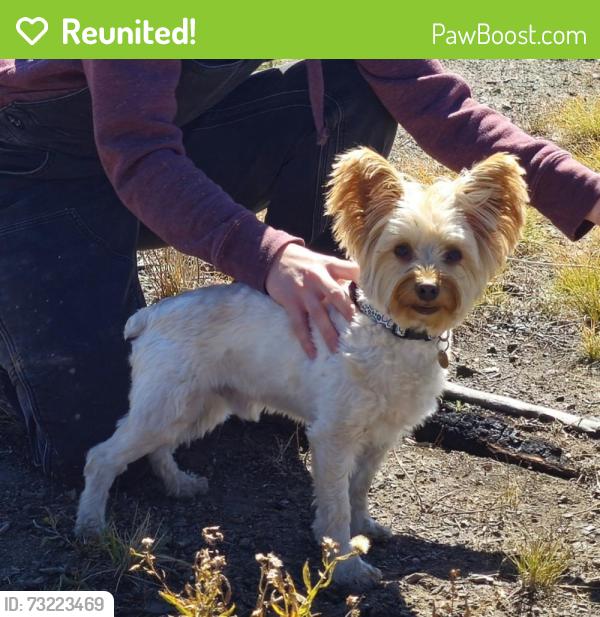Reunited Male Dog last seen Hwy 392 and 13th street, Windsor, CO 80550