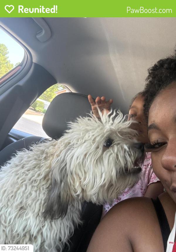 Reunited Male Dog last seen Country hill and Montara dr., Antioch, CA 94531