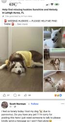 Lost Female Dog last seen Near 51 st w, Lehigh Acres, FL 33972