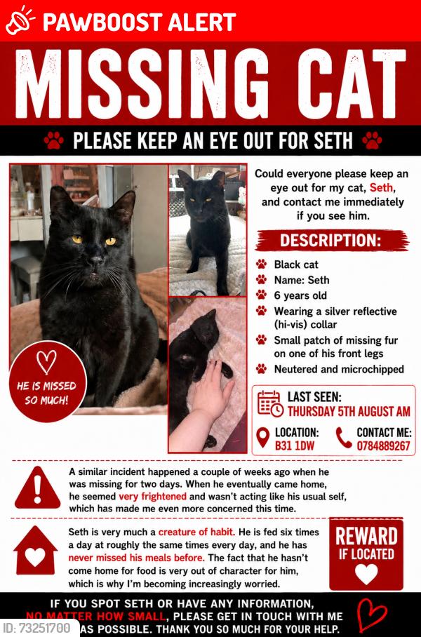 Lost Male Cat last seen Shenley academy school, West Midlands, England 
