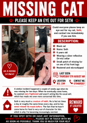 Lost Male Cat last seen Shenley academy school, West Midlands, England 