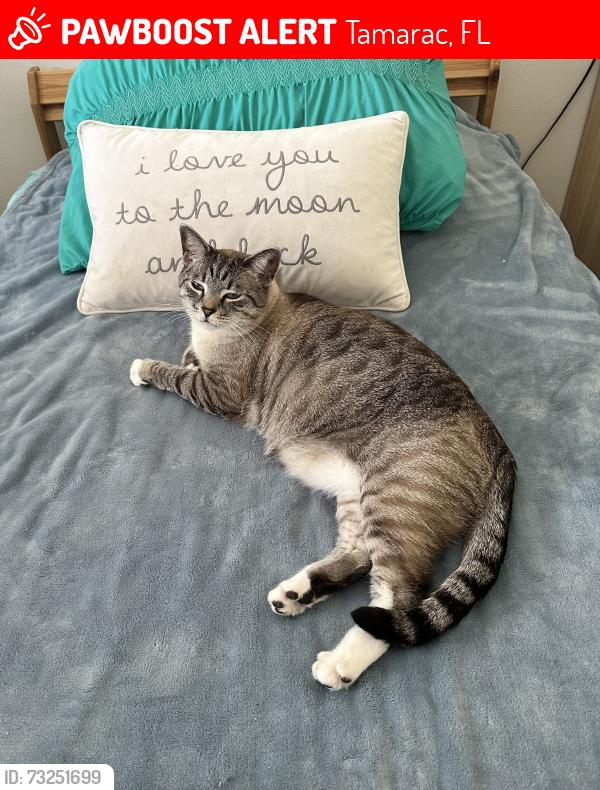 Lost Male Cat last seen mcmanus and 108 th, Tamarac, FL 33321