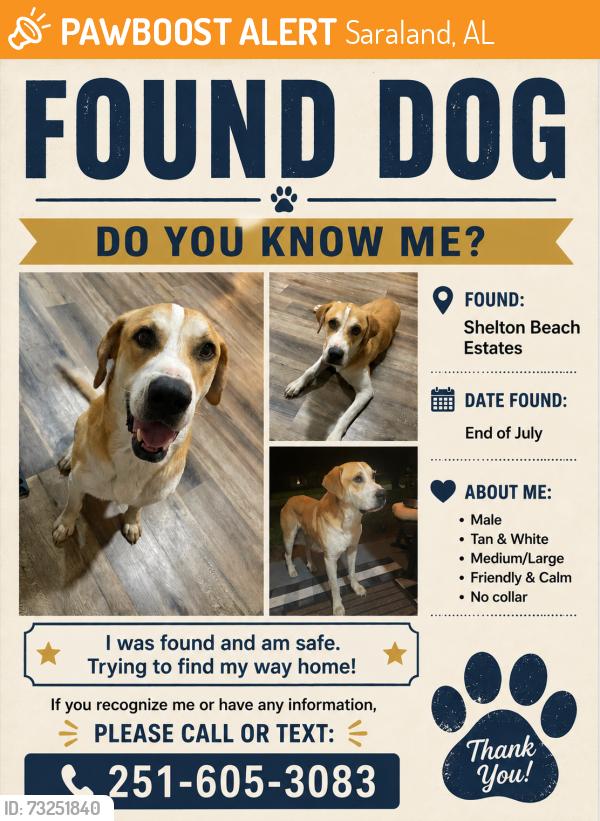 Found/Stray Male Dog last seen Saraland - Shelton Beach ests, Saraland, AL 36571
