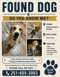 Found/Stray Male Dog last seen Saraland - Shelton Beach ests, Saraland, AL 36571