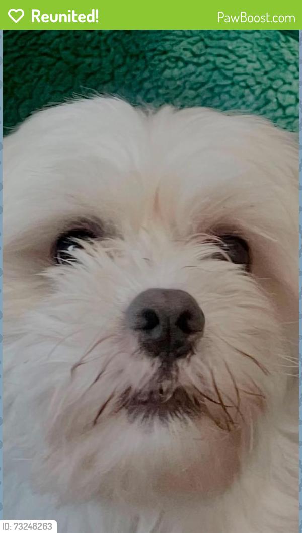 Reunited Male Dog last seen Near Secaucus road, Jersey City, NJ 07307