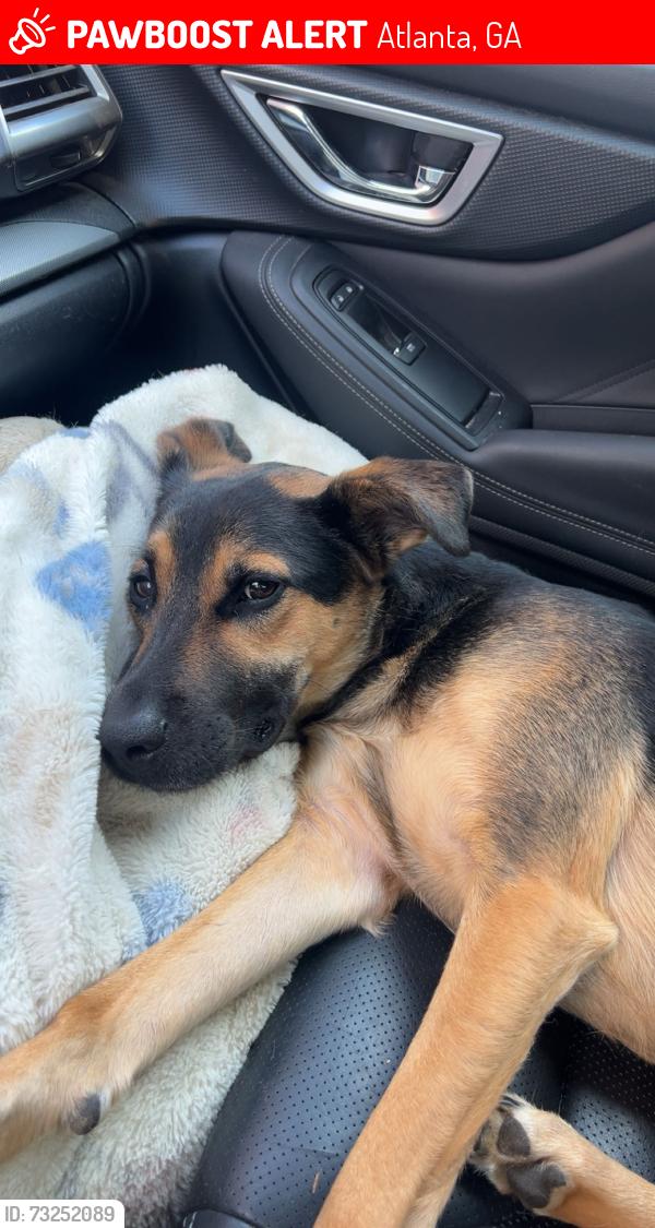 Lost Male Dog last seen Seen going toward Braemar Ave Sw, Atlanta, GA 30311