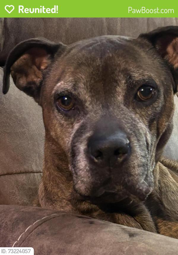 Reunited Male Dog last seen East Paulding Drive, Dallas, GA 30157