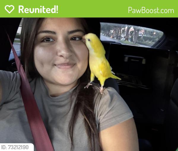 Reunited Female Bird last seen Neighborhood, Hialeah, FL 33018
