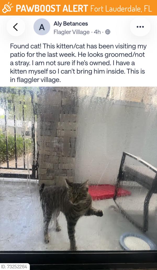 Found/Stray Unknown Cat last seen Near, Fort Lauderdale, FL 33311
