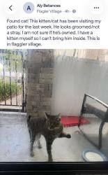 Found/Stray Unknown Cat last seen Near, Fort Lauderdale, FL 33311