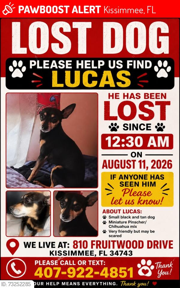Lost Male Dog last seen Buena Ventura Lake 810 fruitwood dr Kissimmee 34743, Kissimmee, FL 34743