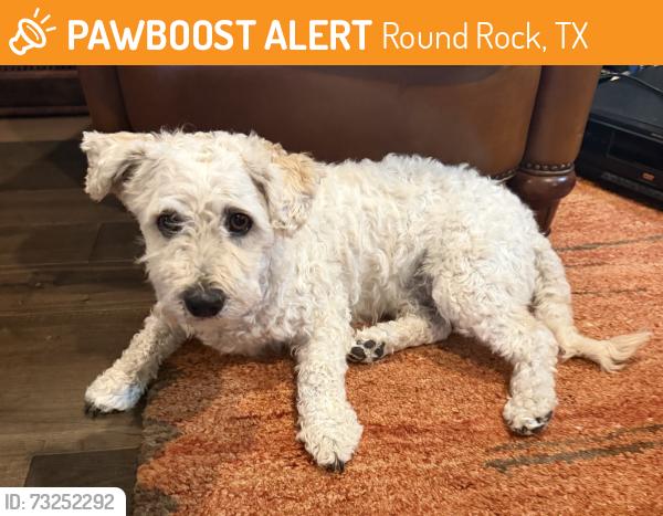 Found/Stray Male Dog last seen Ridgeview Middle School, Round Rock, TX 78665