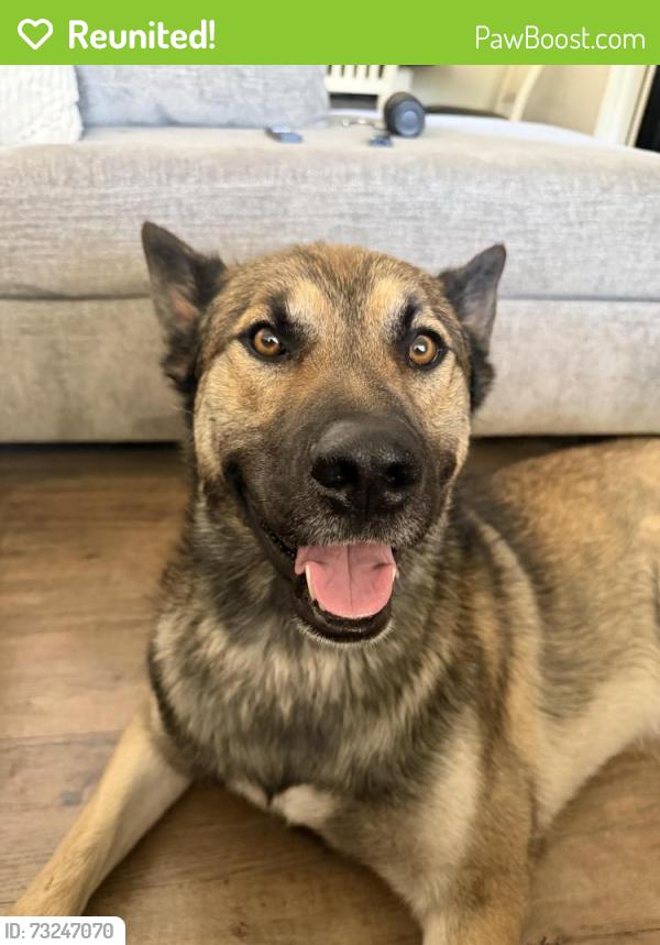 Reunited Male Dog last seen Sonoma Ave, Stockton, CA 95204