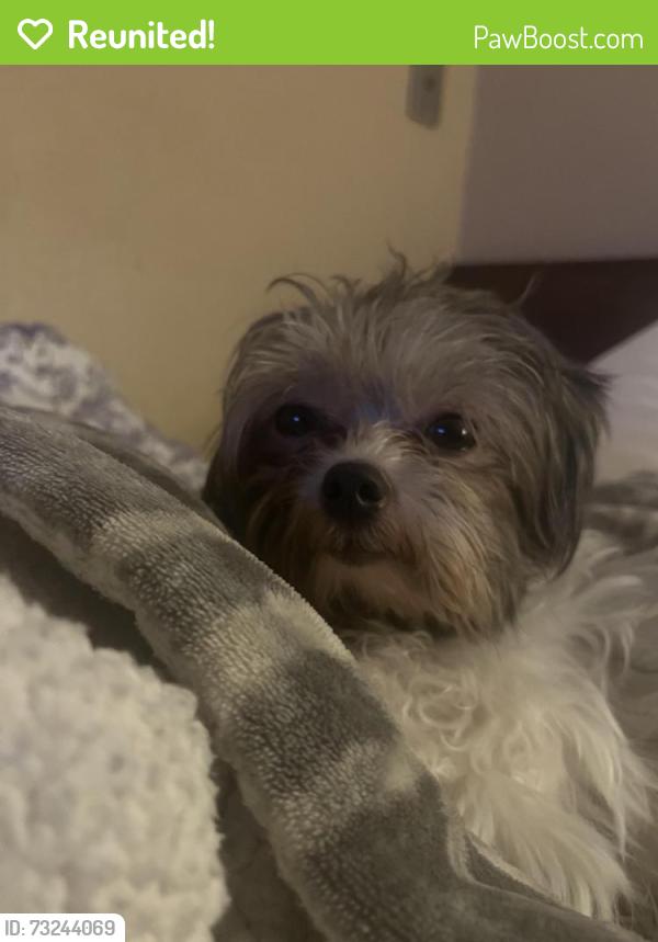 Reunited Female Dog last seen Carter park, Fort Worth, TX 76115