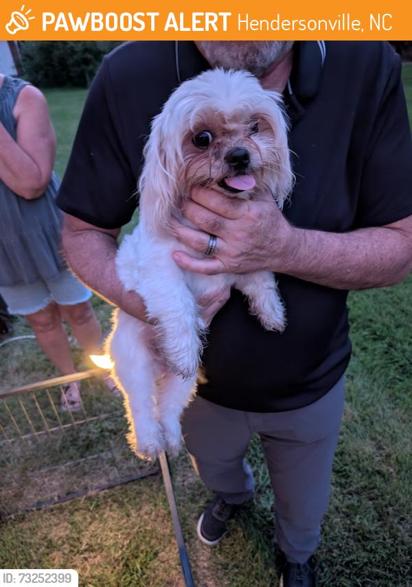 Found/Stray Male Dog last seen Asheville hwy grimesdale, Hendersonville, NC 28792