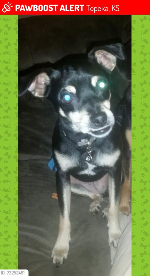 Lost Female Dog last seen Topeka Kansas, Topeka, KS 66619