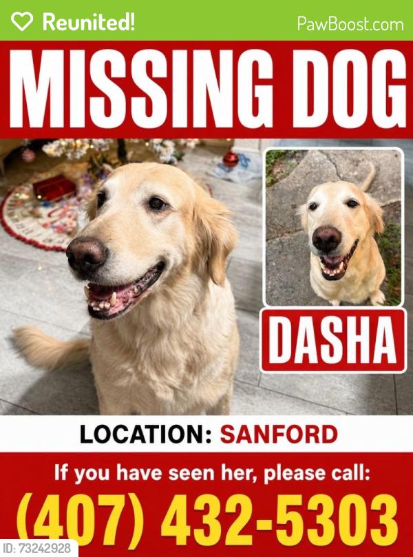 Reunited Female Dog last seen Near Douglas street Sanford Florida, Sanford, FL 32771