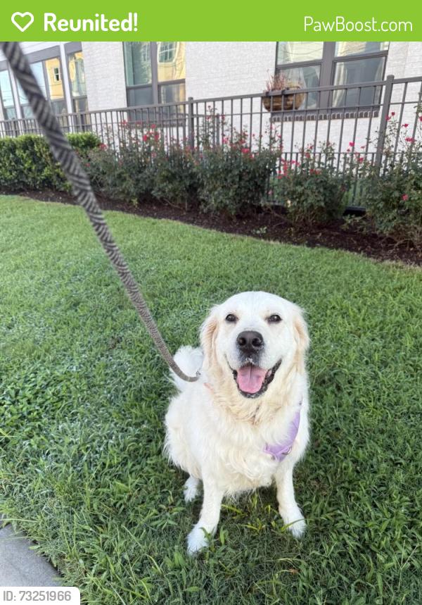 Reunited Female Dog last seen Near Norland St, Houston, TX 77022, USA, Houston, TX 77022