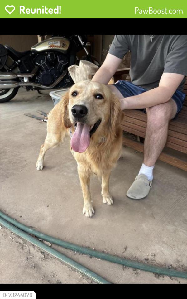 Reunited Male Dog last seen Parkwood/Brownwood dr, Midland, TX 79701