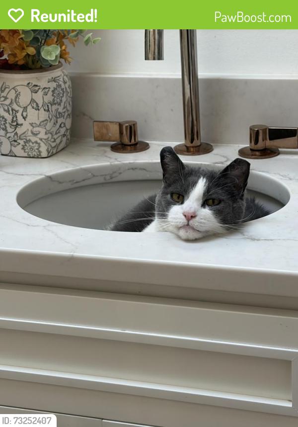 Reunited Female Cat last seen leola community park, Leola, PA 17540