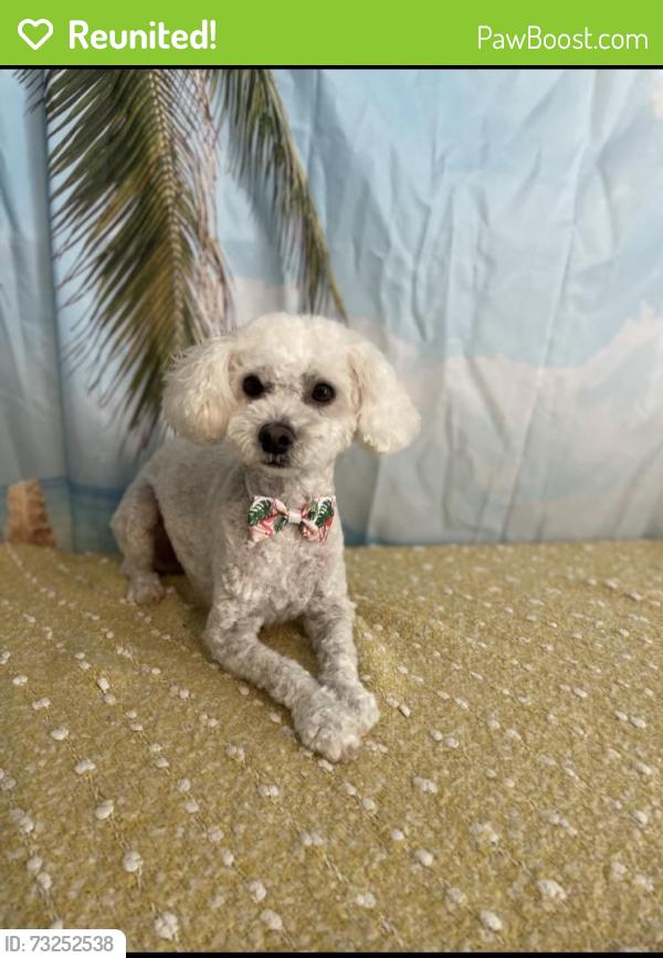 Reunited Female Dog last seen 58th and 82 ter, Pinellas Park, FL 33781