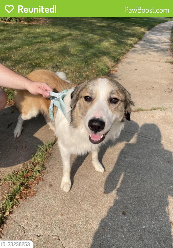 Reunited Unknown Dog last seen Willow wood neighborhood, Omaha, NE 68164
