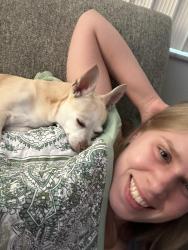 Reunited Female Dog last seen Village on the green in Clearwater Main Street in Belcher, Clearwater, FL 33763