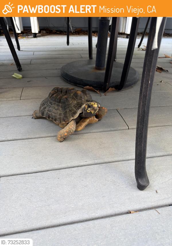 Found/Stray Unknown Other last seen Butterfly park, Mission Viejo, CA 92694