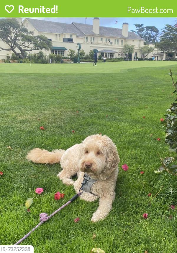 Reunited Female Dog last seen Leimert Blvd/Oakmore Rd, Oakland, CA 94602