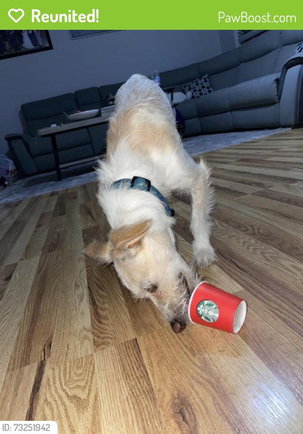 Reunited Male Dog last seen Rubens Pkwy, Sacramento, CA 95823