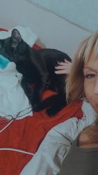 Lost Male Cat last seen North Town mall, Spokane, WA 99205