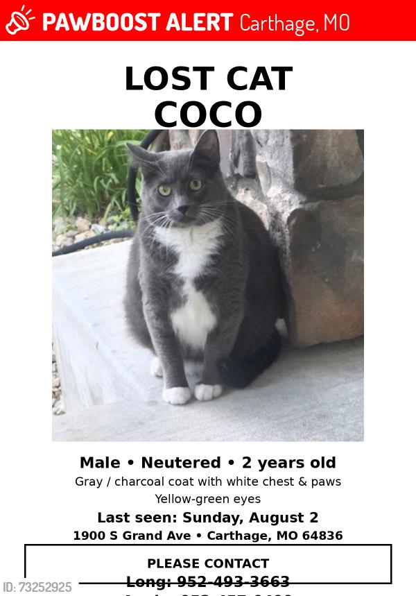 Lost Male Cat last seen Former Our Lady Of Ozarks College, Carthage, MO 64836