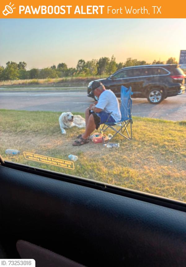Found/Stray Unknown Dog last seen granbury and alta mesa corner, Fort Worth, TX 76123