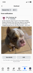 Found/Stray Male Dog last seen Hair salon, Fort Worth, TX 76105