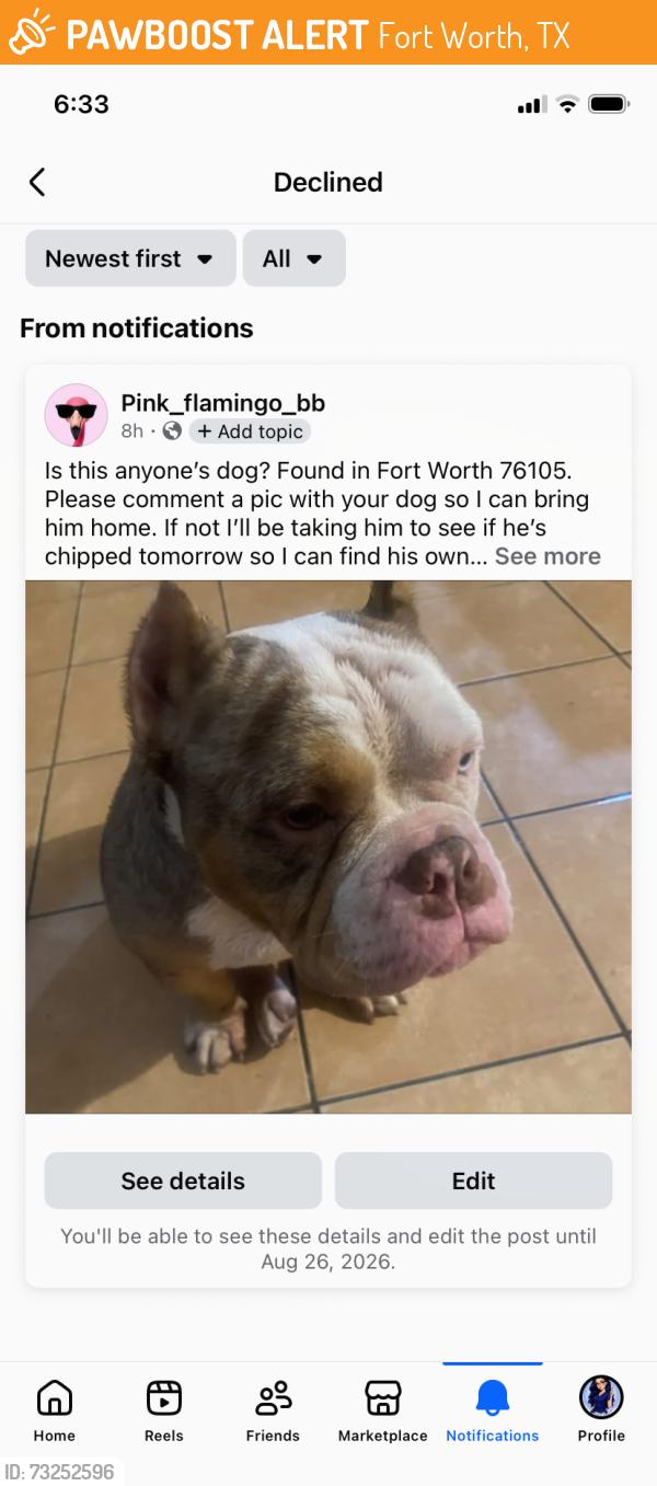 Found/Stray Male Dog last seen Hair salon, Fort Worth, TX 76105